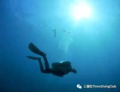 探索凉拌花生怎样做才好吃?主题的热门讨论-凉拌花生怎样做才好吃?红迪网
